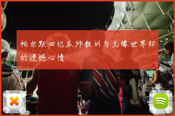 帕尔默回忆瓜帅教训与无缘世界杯的遗憾心情